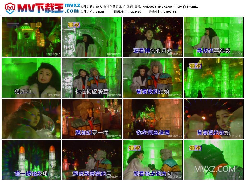 佚名-在银色的月光下_国语_民歌_NAI00603